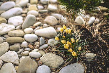 Similar image 21916175