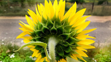 Similar image 21916180