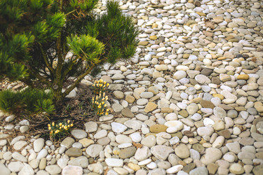 Similar image 21916182