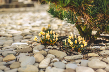 Similar image 21916184