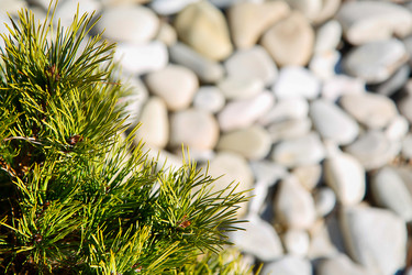 Similar image 21916190