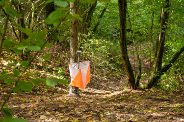 Similar image 21918240