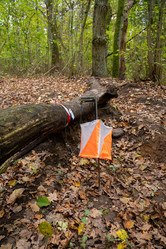 Similar image 21918245