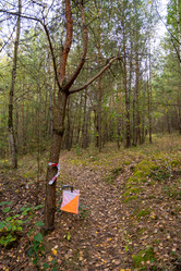 Similar image 21918256