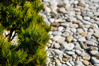 Similar image 21914495