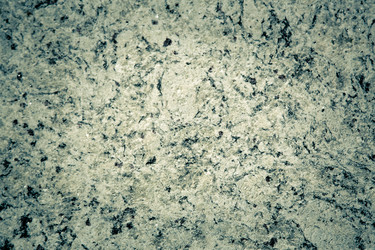 Similar image 21916207