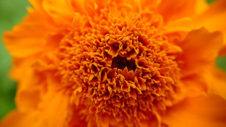 Similar image 21916210