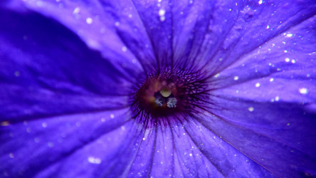 Similar image 21916214