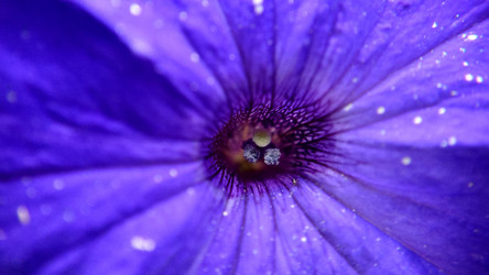 Similar image 21916222