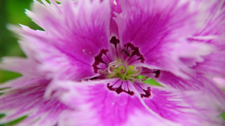 Similar image 21916224