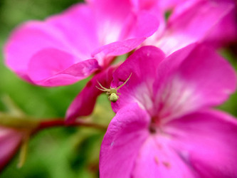 Similar image 21916226