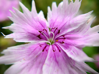 Similar image 21916228