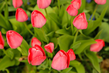 Similar image 21916246