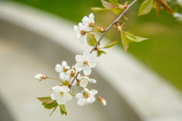 Similar image 21916251