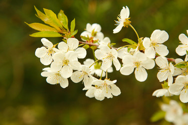 Similar image 21916255