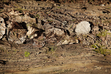 Similar image 21916263