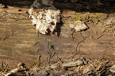 Similar image 21914512