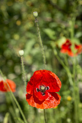 Similar image 21914515