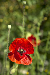 Similar image 21914516