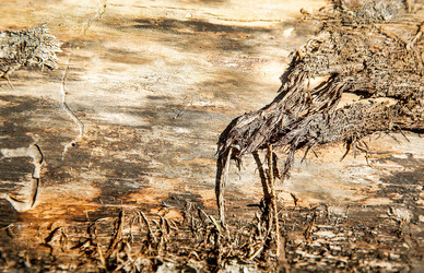 Similar image 21916268