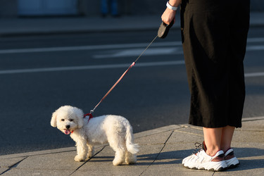 Similar image 21914536