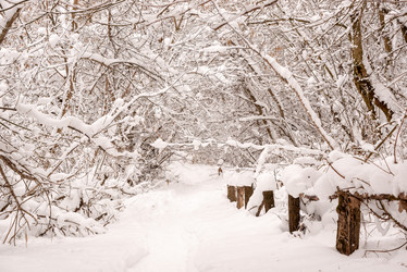 Similar image 21914544