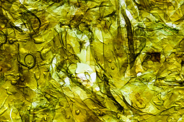 Similar image 21914546