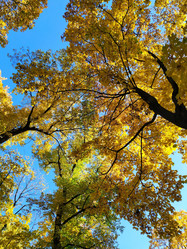 Similar image 21914549