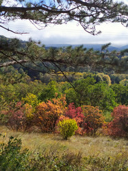 Similar image 21914550