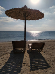 Similar image 21914551