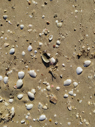 Similar image 21914557