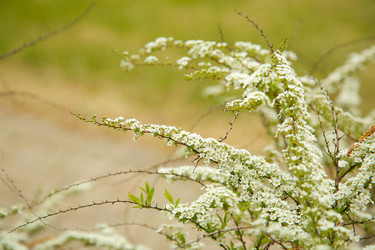 Similar image 21916269