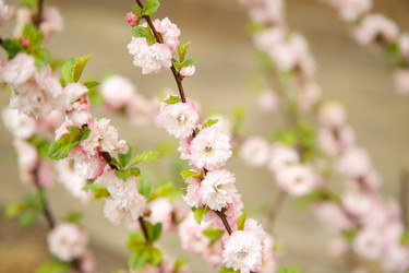 Similar image 21916272