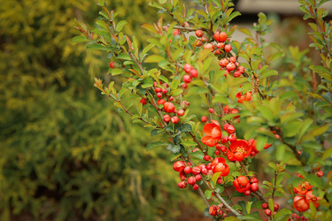 Similar image 21916273