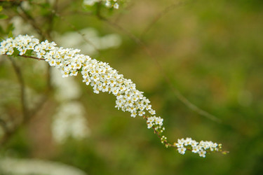 Similar image 21916277