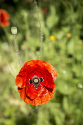 Similar image 21916282