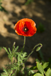 Similar image 21916284