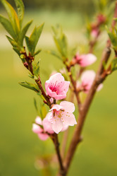 Similar image 21916442