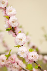 Similar image 21916445