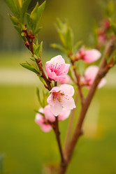 Similar image 21916446