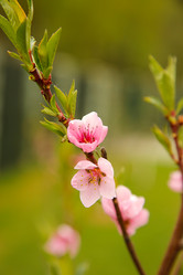 Similar image 21916447