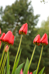 Similar image 21916448