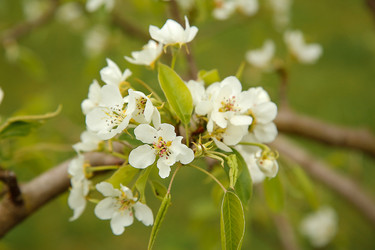 Similar image 21916455