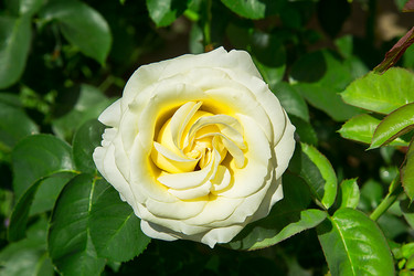 Similar image 21916456