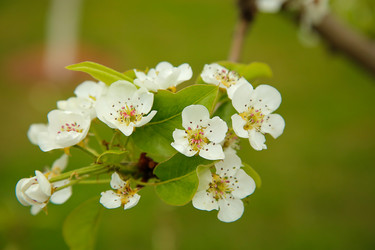 Similar image 21916457