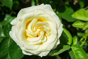 Similar image 21916458