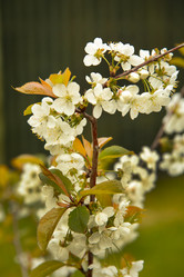 Similar image 21916463