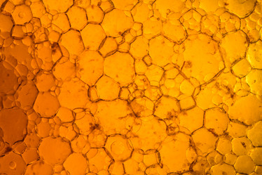 Similar image 21914597