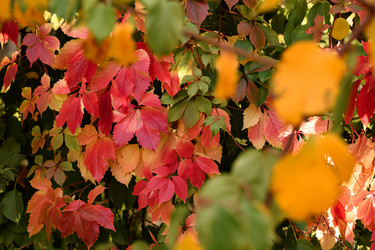 Similar image 21914618