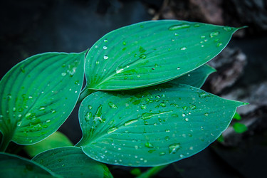 Similar image 21916287